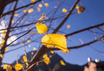 Similar image 8027235