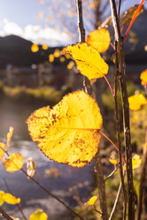 Similar image 8027236