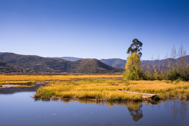 Similar image 8027239