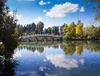 Similar image 8027242