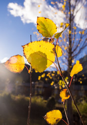 Similar image 8027247