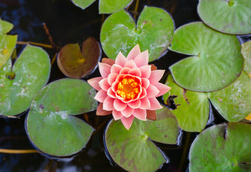 Similar image 8027255