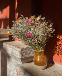 Similar image 8027267