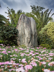 Similar image 8027274