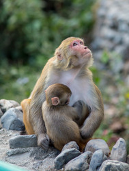 Similar image 8027277