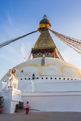 Similar image 8027281