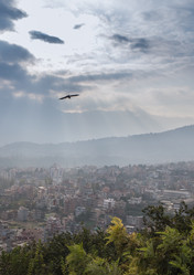 Similar image 8027291