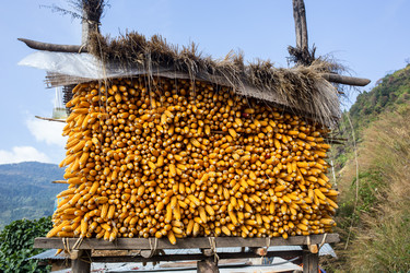 Similar image 8027308