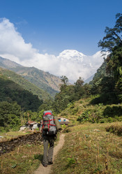 Similar image 8027309