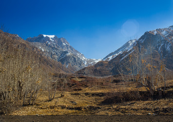 Similar image 8027325