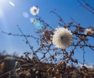 Similar image 8027328