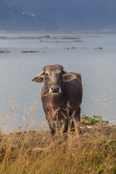 Similar image 8027345