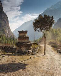 Similar image 8027358