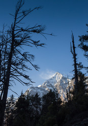 Similar image 8027368