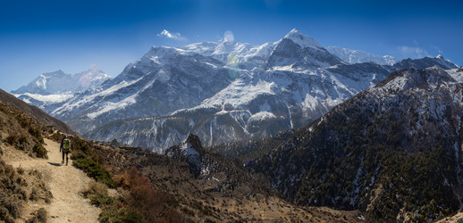 Similar image 8027380