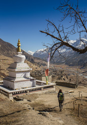 Similar image 8027390