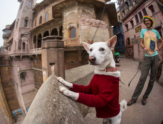 Similar image 8027409