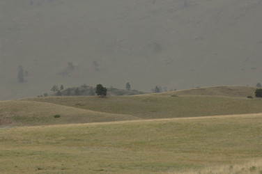 Similar image 8027445