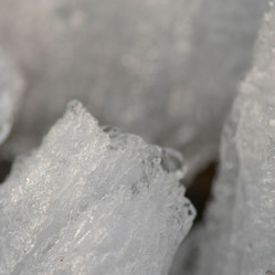 Similar image 8027456