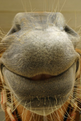 Similar image 8027462