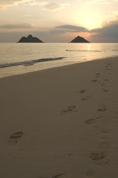 Similar image 8027471