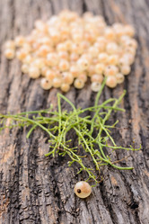 Similar image 8027513