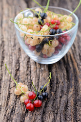 Similar image 8027514