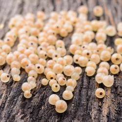 Similar image 8027515