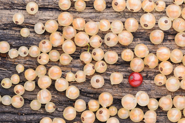 Similar image 8027516