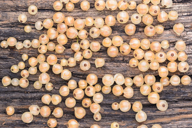 Similar image 8027517