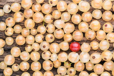 Similar image 8027518