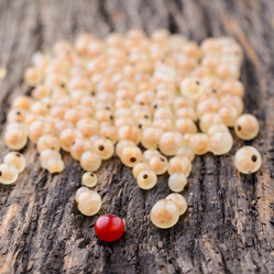 Similar image 8027519