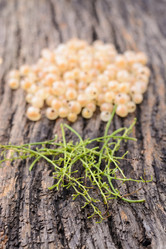 Similar image 8027520