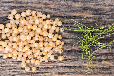 Similar image 8027521