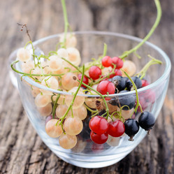 Similar image 8027523