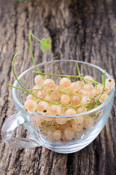 Similar image 8027524