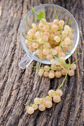 Similar image 8027525