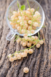 Similar image 8027526