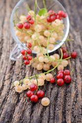 Similar image 8027527