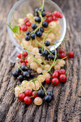 Similar image 8027528