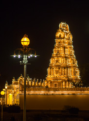 Similar image 8027541