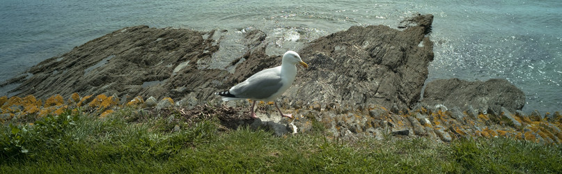 Similar image 8027668