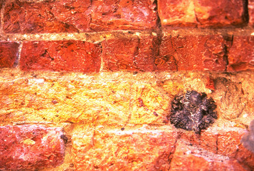 Similar image 8027676