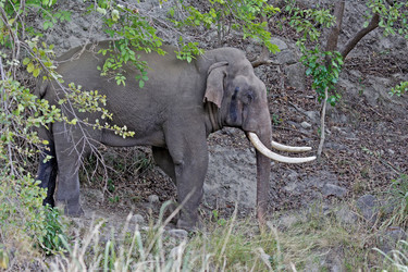 Similar image 8027693