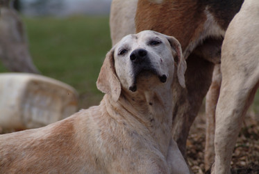 Similar image 8027700