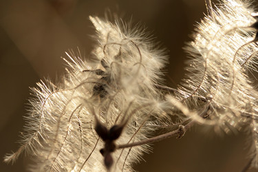 Similar image 8027714