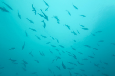 Similar image 8027718