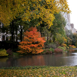 Similar image 8027734