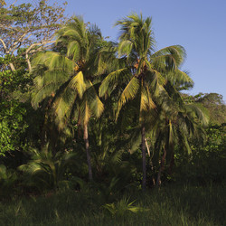 Similar image 8027760