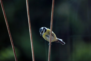 Similar image 8027766